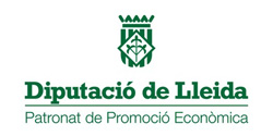 Logo Diputacio Lleida