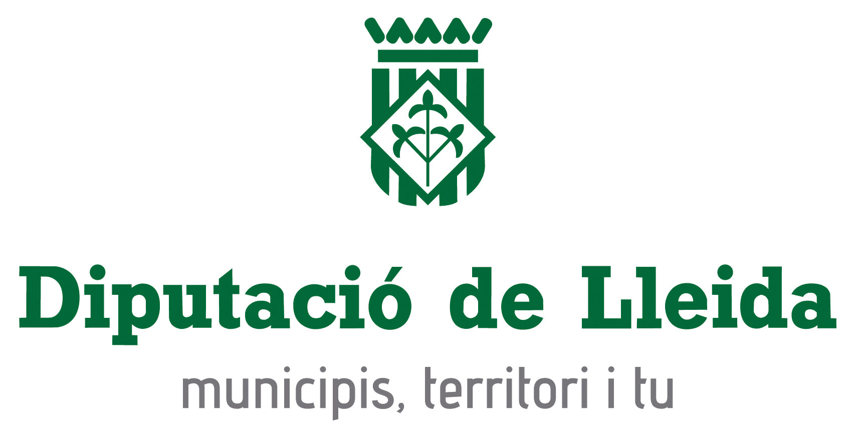 Logo Diputacio Lleida