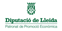 Logo Diputacio Lleida